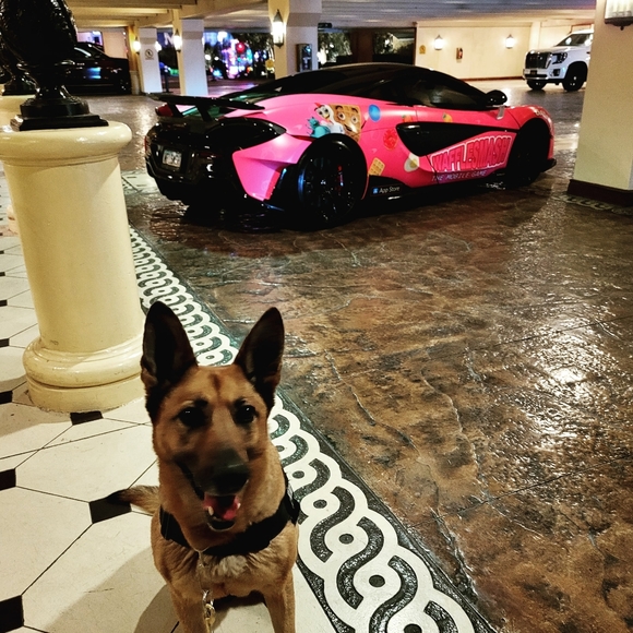 Meet your Posher, Michelle - Picture 11 of 11